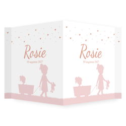 Raambord zusje met zus silhouet roze