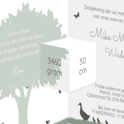 Geboortekaart silhouet grote zus kinderwagen stans