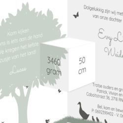 Geboortekaart silhouet grote broer kinderwagen stans