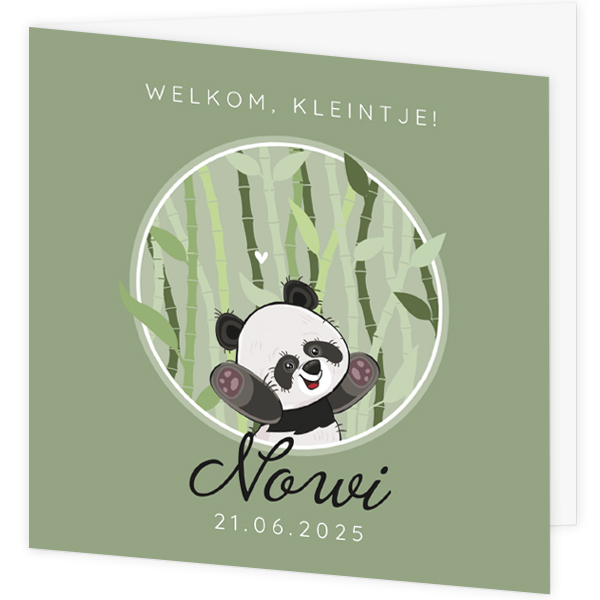 Geboortekaartje Nowi - Kleine vrolijke panda met bamboe