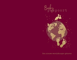 Geboortekaart Lucas - Baby Paspoort