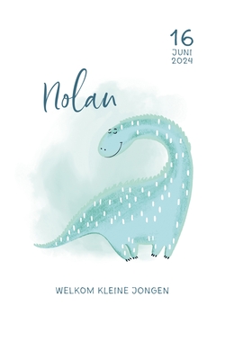 Geboortekaartje Nolan - Dino