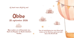 Geboortekaartje Obbe - Baby beer in luchtballon