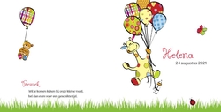 Helena - Giraffe met ballonnen