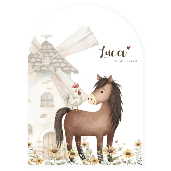 Geboortekaartje in boogvorm met paard en kipje, voorbeeld met de naam Luca