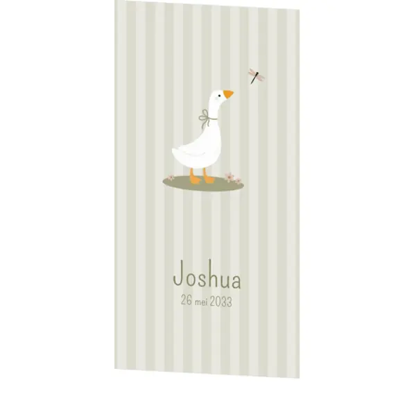 Schattig geboortekaartje voor een jongen met lieve gans